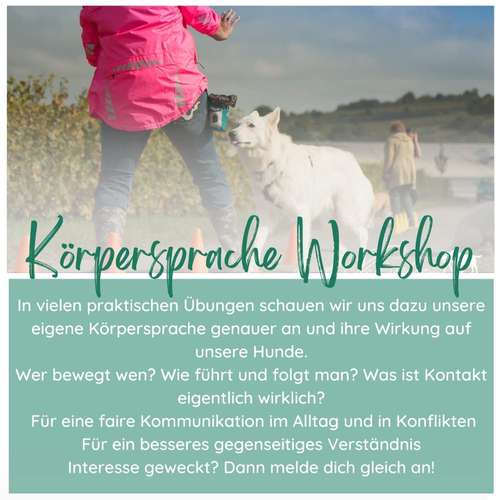 Hundeauslaufgebiet-Hundezentrum WolfsRudel-Bild