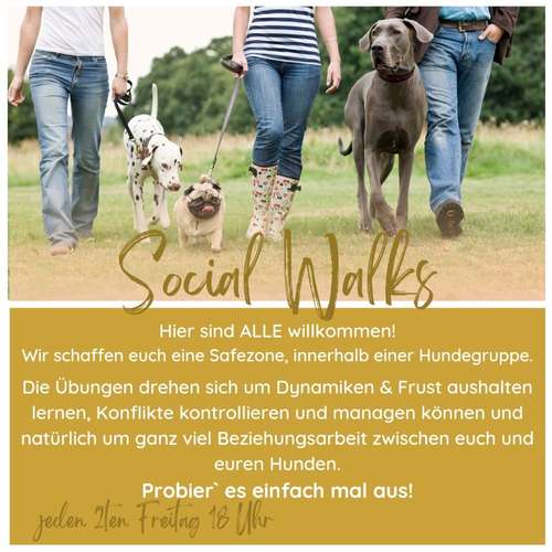 Hundeauslaufgebiet-Hundezentrum WolfsRudel-Bild