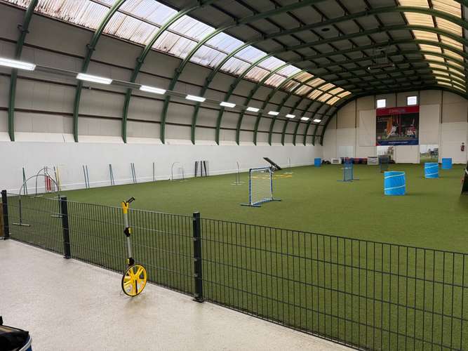 Hundeauslaufgebiet-ALL in ONE Hundesportschule-Bild
