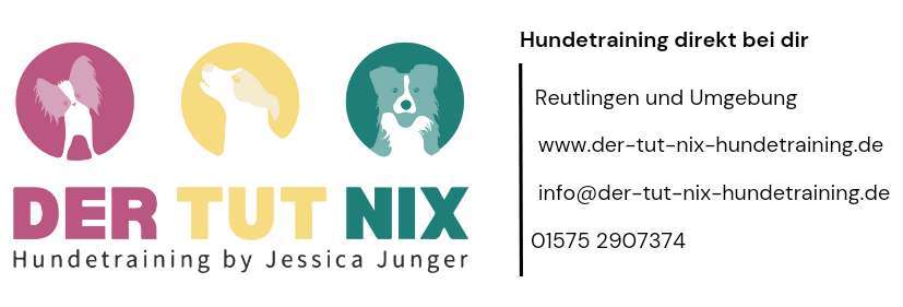 Hundeauslaufgebiet-Der tut nix Hundetraining by Jessica Junger-Bild