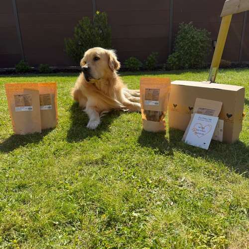 Hundeauslaufgebiet-Bobbys Box-Bild