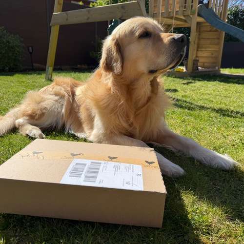 Hundeauslaufgebiet-Bobbys Box-Bild