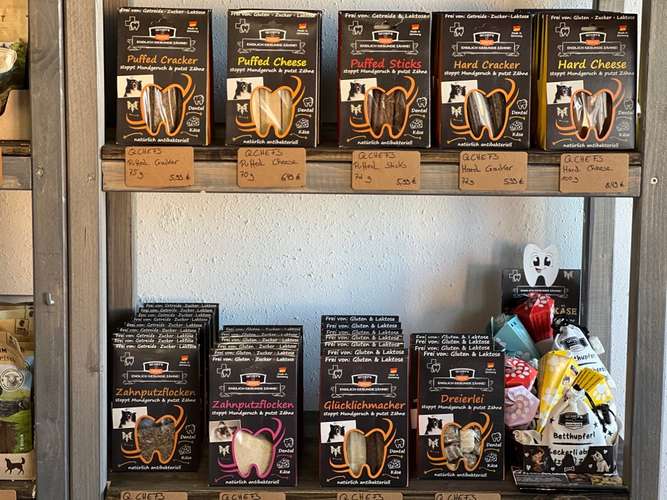 Hundeauslaufgebiet-Rudelheld-Bild