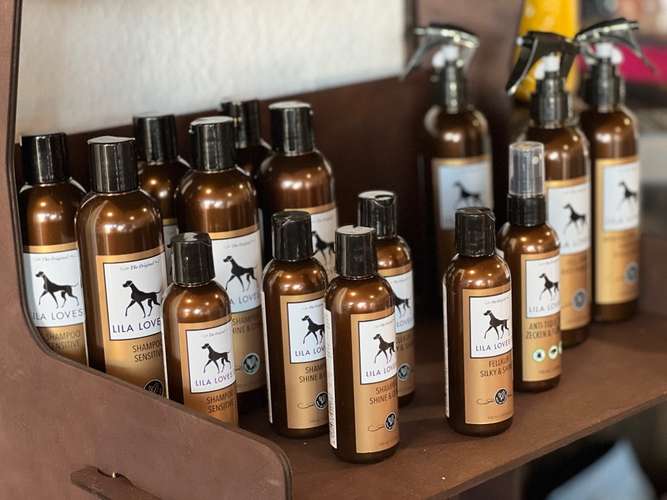 Hundeauslaufgebiet-Rudelheld-Bild