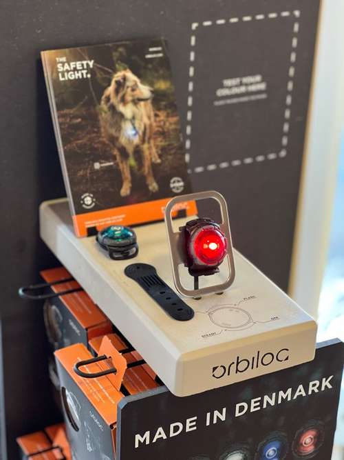 Hundeauslaufgebiet-Rudelheld-Bild