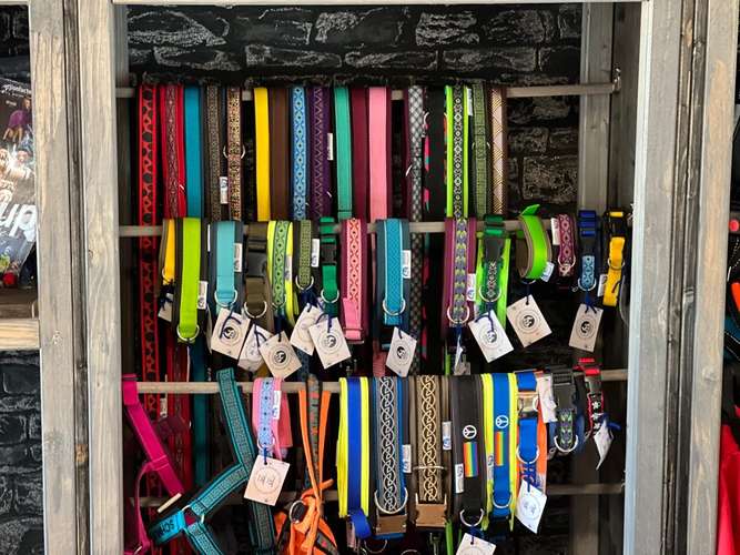 Hundeauslaufgebiet-Rudelheld-Bild