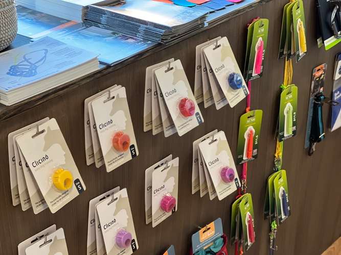 Hundeauslaufgebiet-Rudelheld-Bild