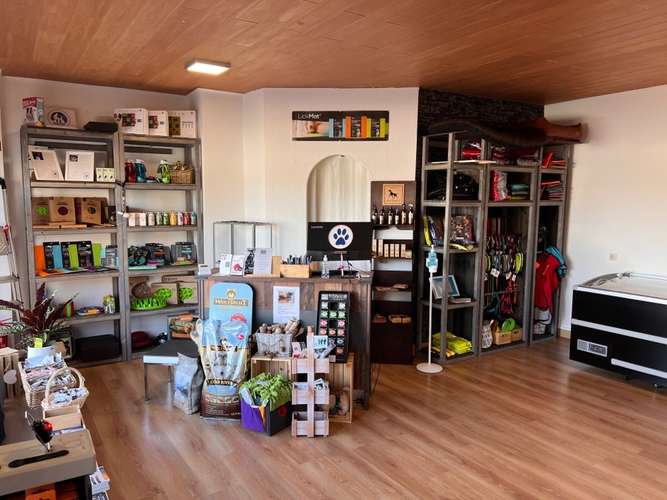 Hundeauslaufgebiet-Rudelheld-Bild