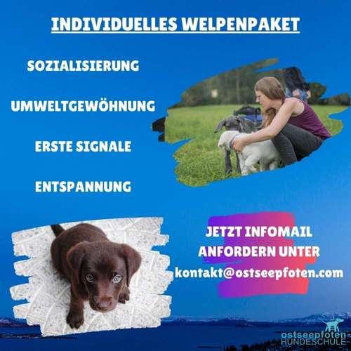 Hundeauslaufgebiet-Hundeschule Ostseepfoten-Bild