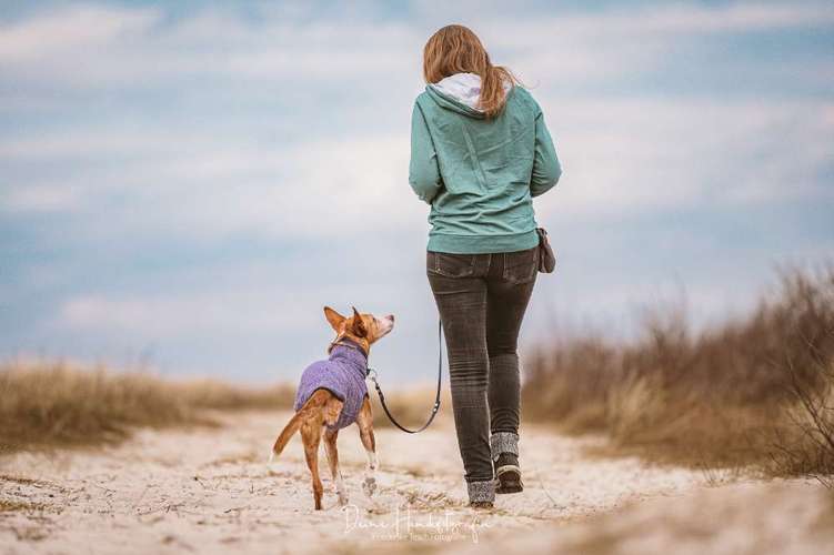 Hundeauslaufgebiet-Hundeschule Ostseepfoten-Bild