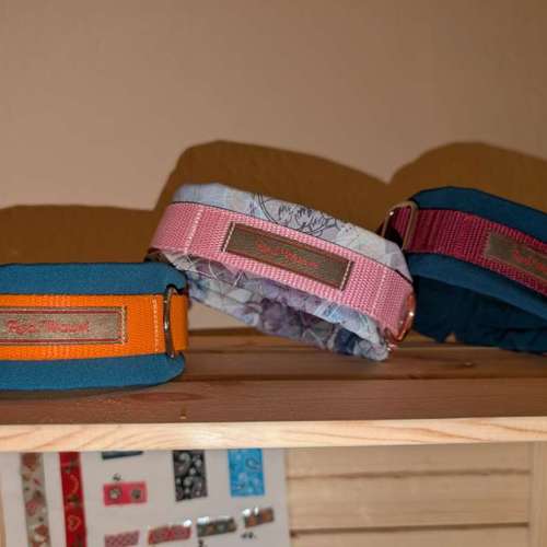 Hundeauslaufgebiet-Red.Wauwi-Bild