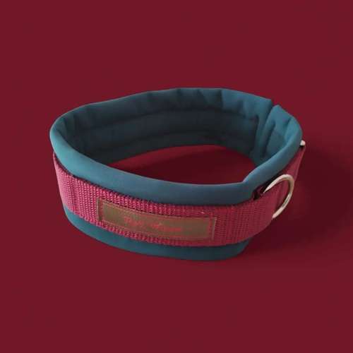 Hundeauslaufgebiet-Red.Wauwi-Bild