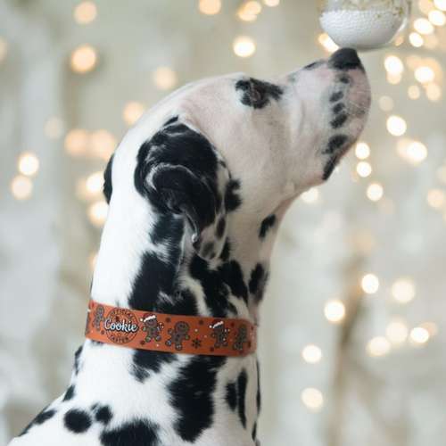 Hundeauslaufgebiet-Maffy’s Manufaktur-Bild