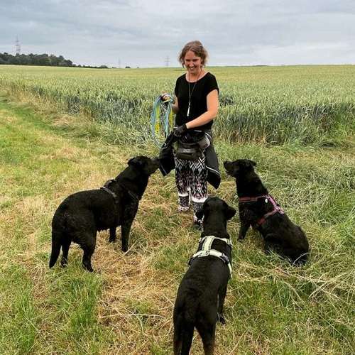 Hundeauslaufgebiet-Tabia - Training für Menschen mit Hund-Bild