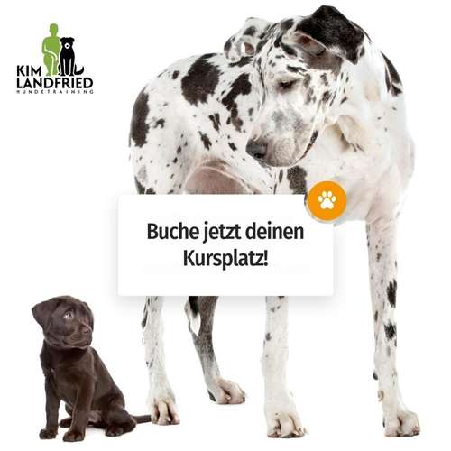 Hundeauslaufgebiet-Kim Landfried Hundetraining-Bild