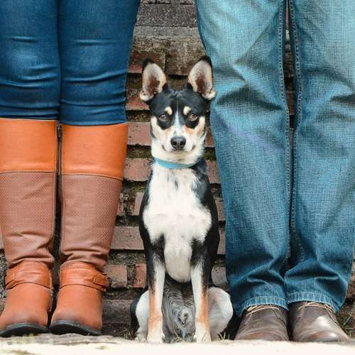 Hundeauslaufgebiet-Kim Landfried Hundetraining-Bild