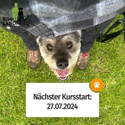 Hundeauslaufgebiet-Kim Landfried Hundetraining-Bild