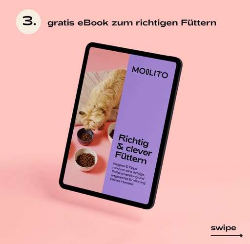 Hundeauslaufgebiet-MOOLITO-Bild