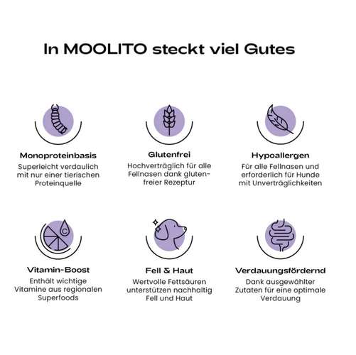 Hundeauslaufgebiet-MOOLITO-Bild