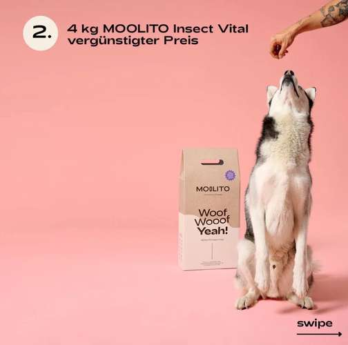 Hundeauslaufgebiet-MOOLITO-Bild