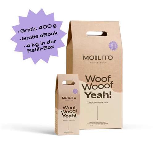 Hundeauslaufgebiet-MOOLITO-Bild