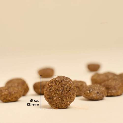 Hundeauslaufgebiet-MOOLITO-Bild