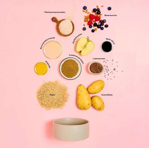 Hundeauslaufgebiet-MOOLITO-Bild