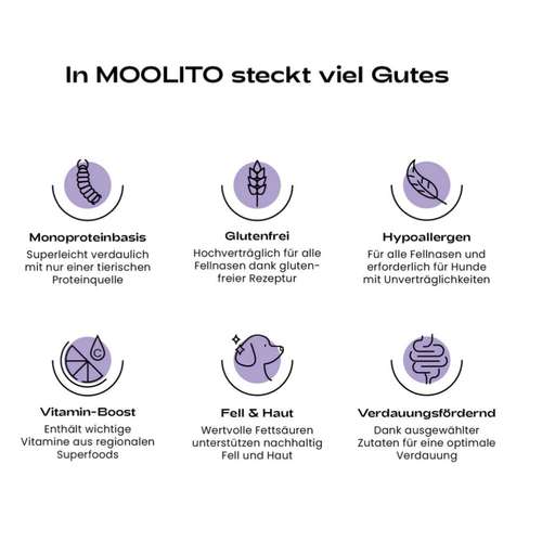 Hundeauslaufgebiet-MOOLITO-Bild