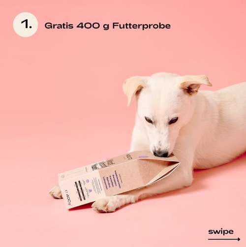 Hundeauslaufgebiet-MOOLITO-Bild