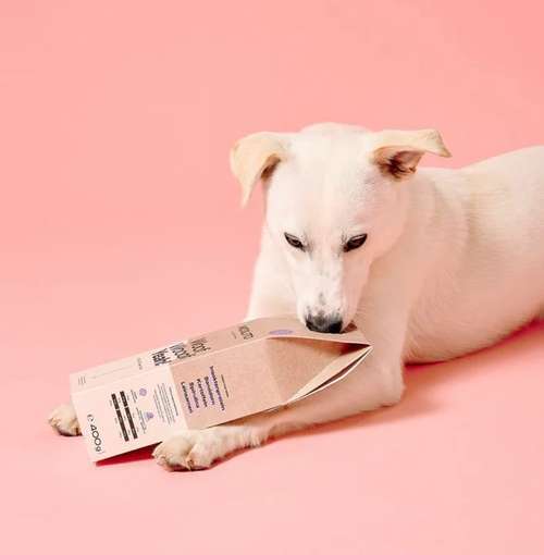 Hundeauslaufgebiet-MOOLITO-Bild