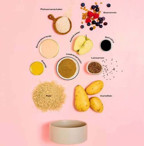 Hundeauslaufgebiet-MOOLITO-Bild