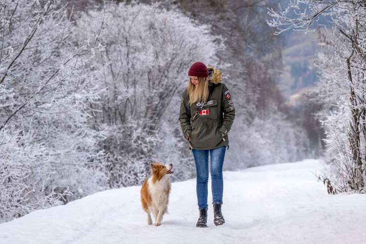 Hundeauslaufgebiet-Dogether Osttirol-Bild