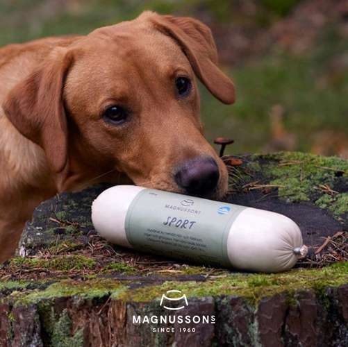 Hundeauslaufgebiet-Magnusson Petfood GmbH-Bild