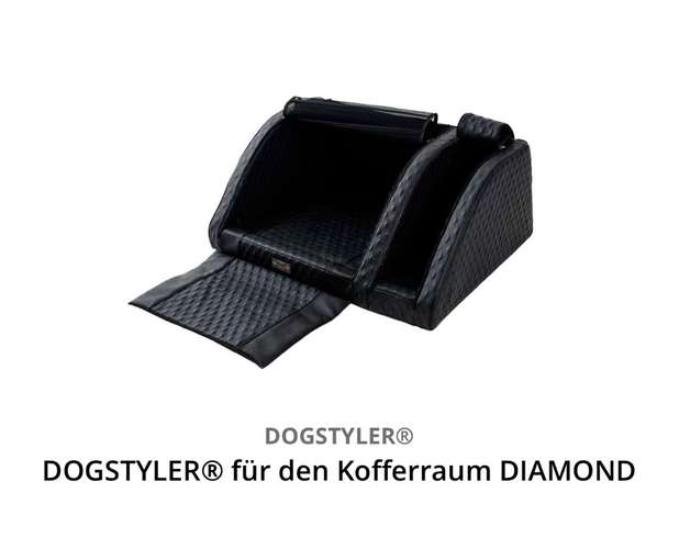 Hundeauslaufgebiet-DOGSTYLER®️ Kirchheim unter Teck-Bild