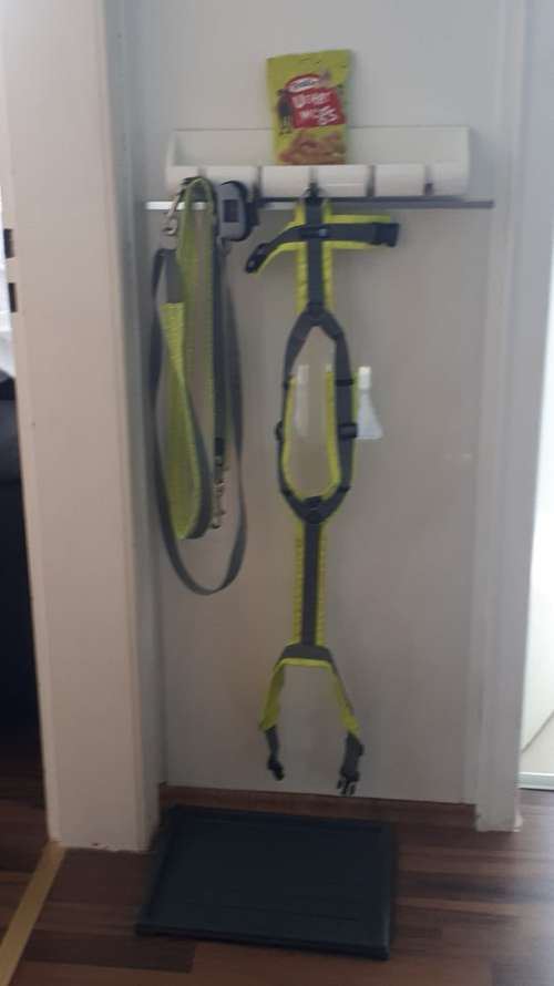 Hundeauslaufgebiet-Ferienwohnung Ela-Bild