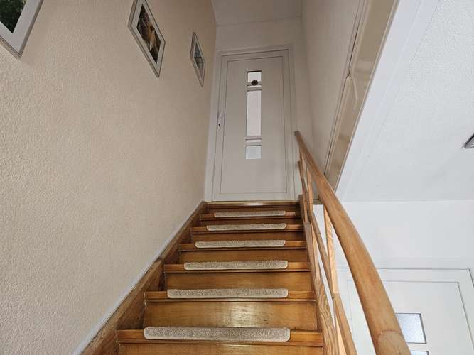 Hundeauslaufgebiet-Ferienwohnung Ela-Bild