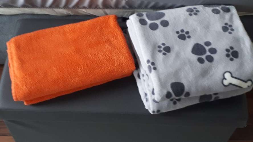 Hundeauslaufgebiet-Ferienwohnung Ela-Bild