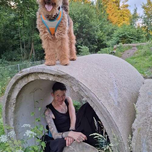 Hundeauslaufgebiet-Der Spur nach-Bild