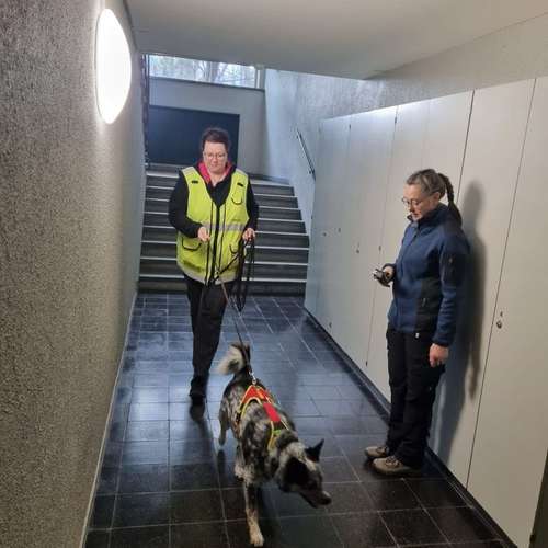 Hundeauslaufgebiet-Der Spur nach-Bild