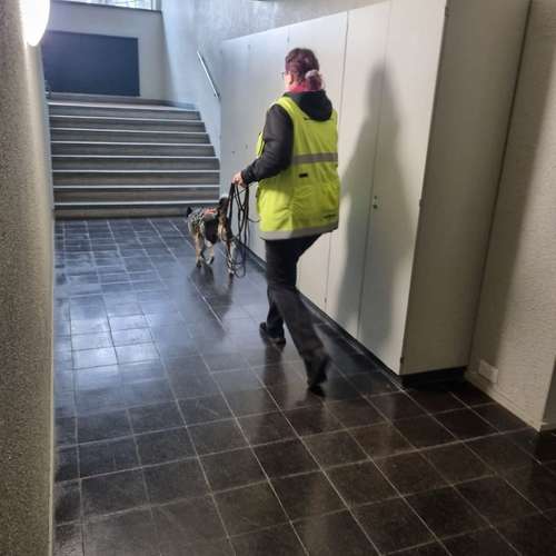 Hundeauslaufgebiet-Der Spur nach-Bild