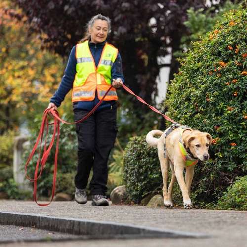 Hundeauslaufgebiet-Der Spur nach-Bild
