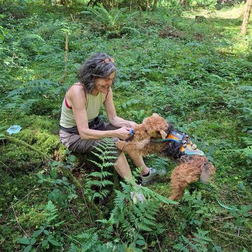 Hundeauslaufgebiet-Der Spur nach-Bild