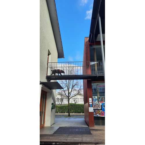 Hundeauslaufgebiet-Der Spur nach-Bild