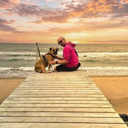 Hundeauslaufgebiet-Mobile Hundeschule Ammersbek-Bild