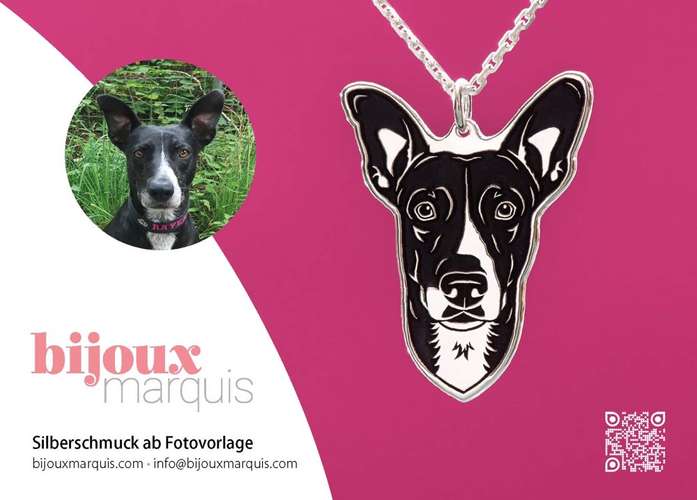 Hundeauslaufgebiet-bijoux marquis Silberschmuck ab Fotovorlage-Bild