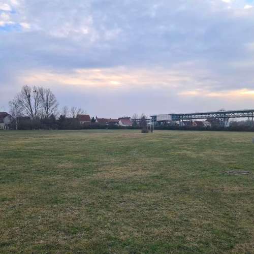 Hundeauslaufgebiet-Martin Rütter Hundeschule Bitterfeld / Wittenberg-Bild