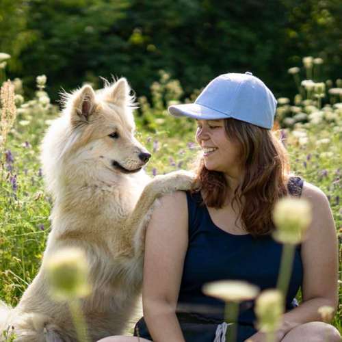 Hundeauslaufgebiet-Martin Rütter Hundeschule Bitterfeld / Wittenberg-Bild