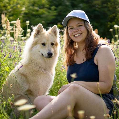 Hundeauslaufgebiet-Martin Rütter Hundeschule Bitterfeld / Wittenberg-Bild