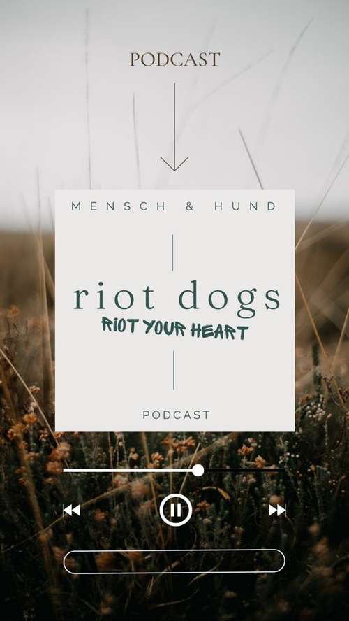 Hundeauslaufgebiet-riot dogs coaching-Bild