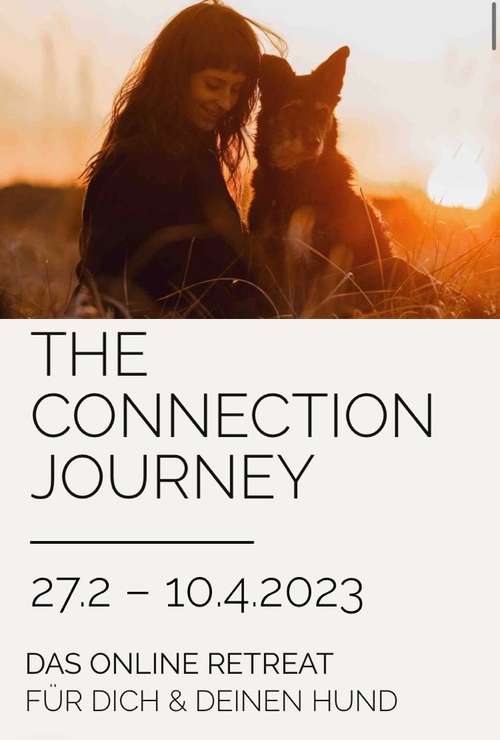 Hundeauslaufgebiet-riot dogs coaching-Bild